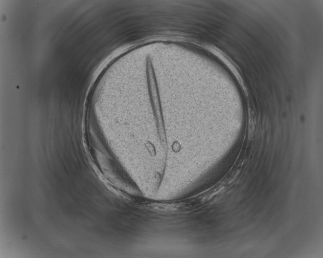 X0000085740861200704091508