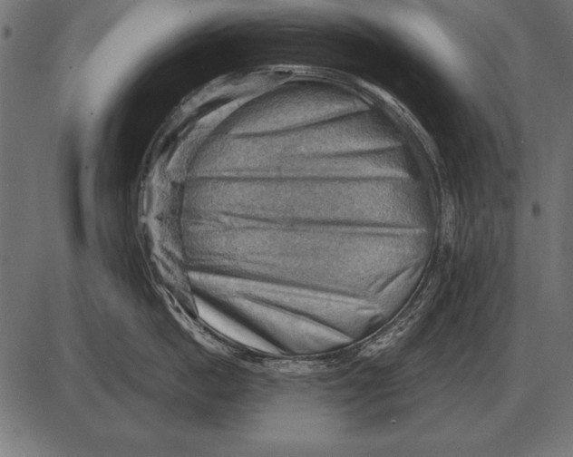 X0000085740862200704091508