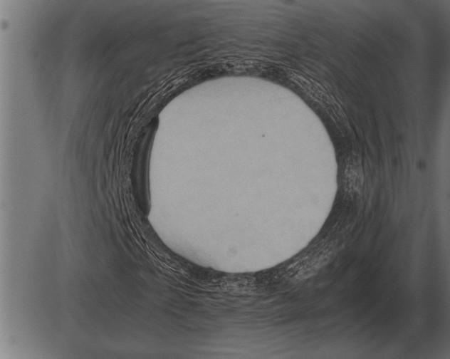 X0000085740865200704091507