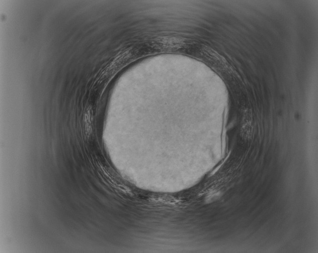 X0000085740866200704091507