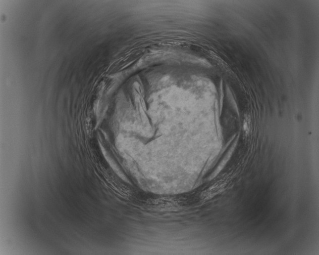 X0000085740867200704091507