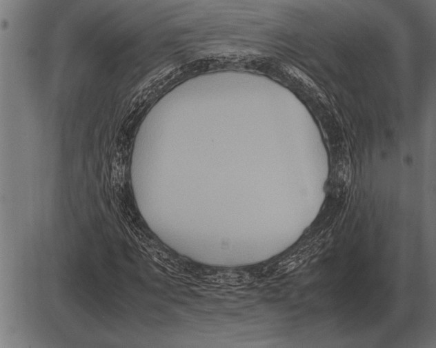 X0000085740869200704091507