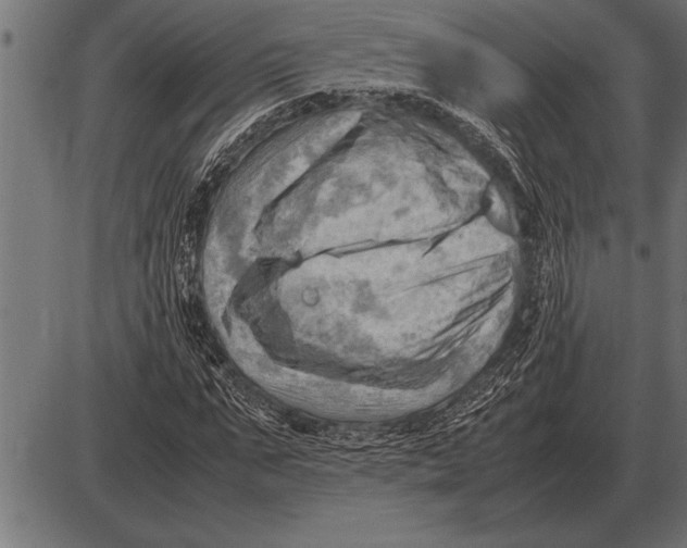 X0000085740871200704091507