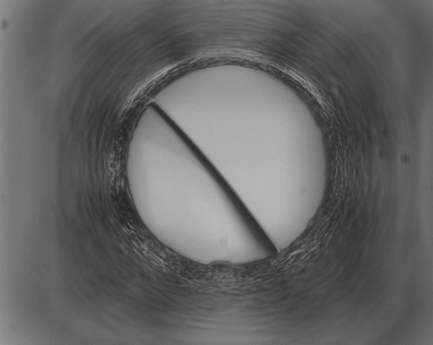 X0000085740872200704091507