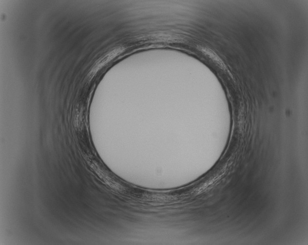 X0000085740873200704091507