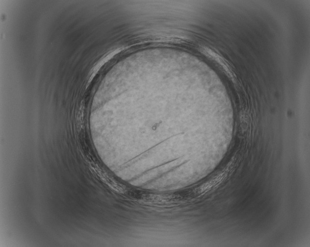 X0000085740875200704091507