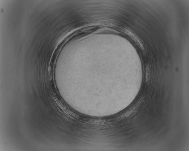 X0000085740876200704091507