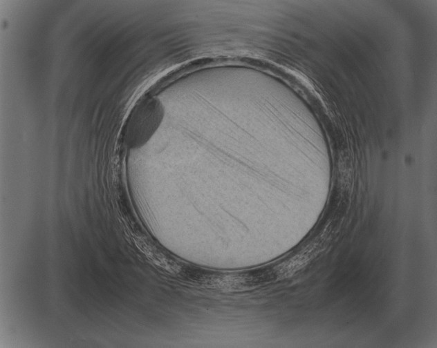 X0000085740879200704091507
