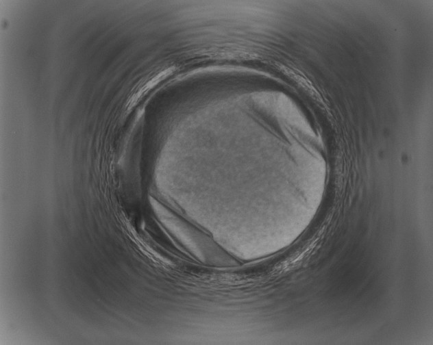 X0000085740881200704091507