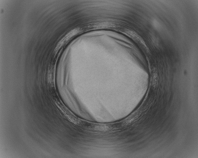 X0000085740882200704091507
