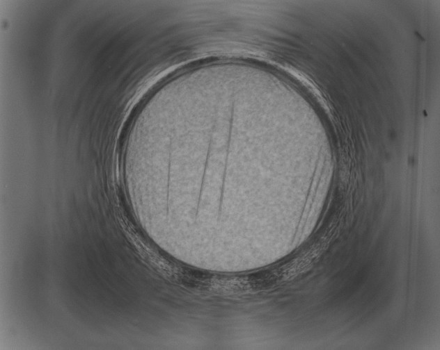 X0000085740887200704091507