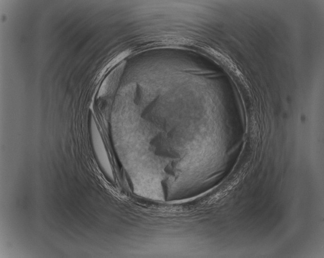 X0000085740889200704091507