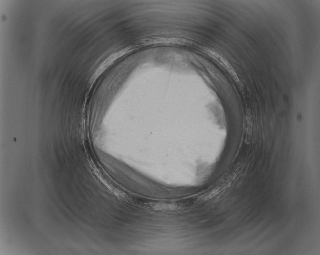 X0000085740890200704091507