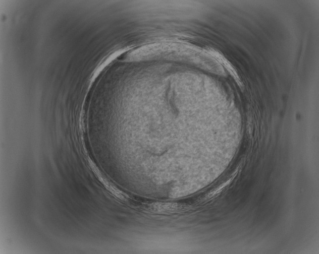 X0000085740893200704091507