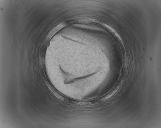 X0000085740897200704091507