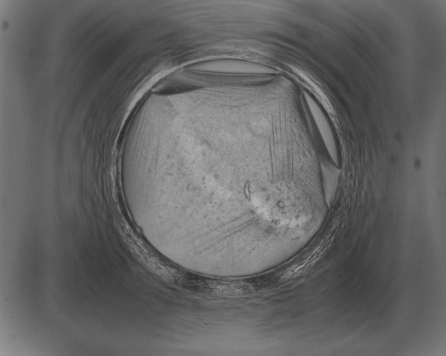 X0000085740899200704091507