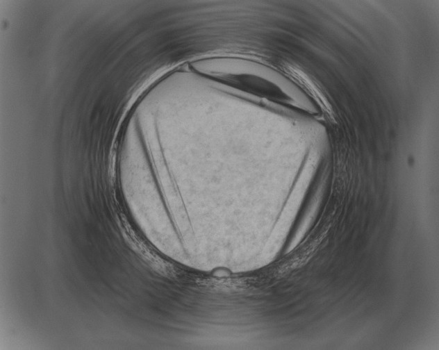 X0000085740900200704091507