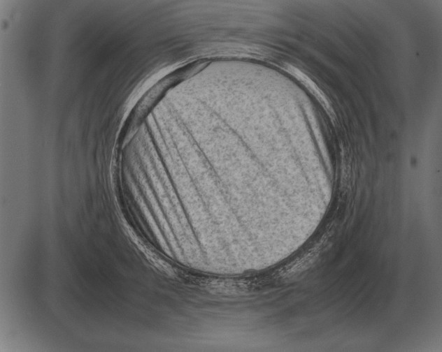 X0000085740901200704091507