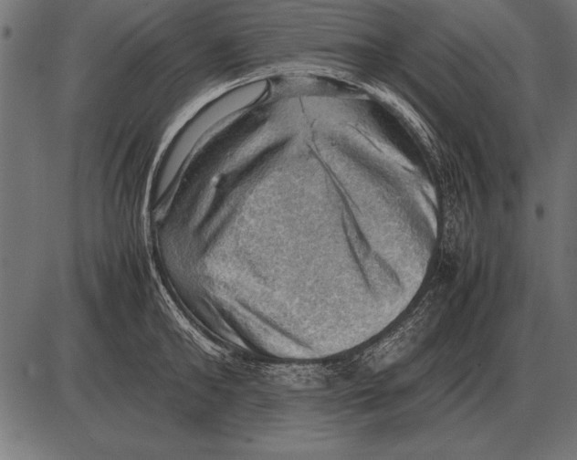X0000085740902200704091507