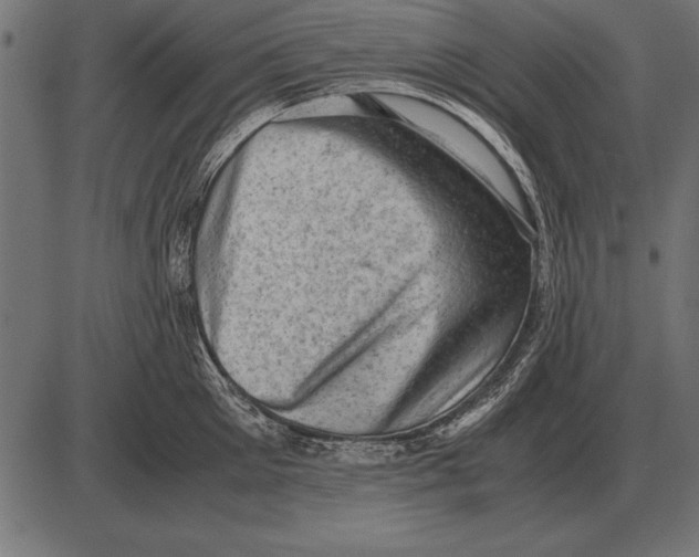 X0000085740905200704091506