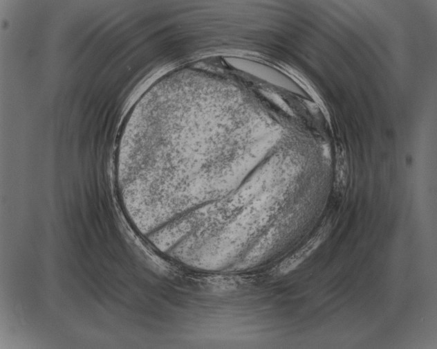 X0000085740906200704091506