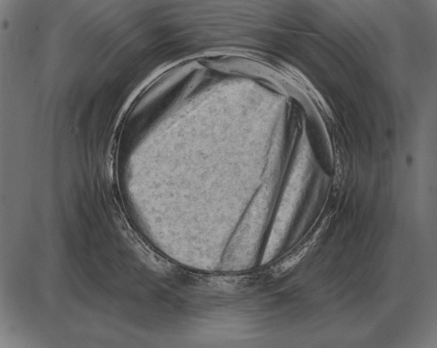 X0000085740908200704091506