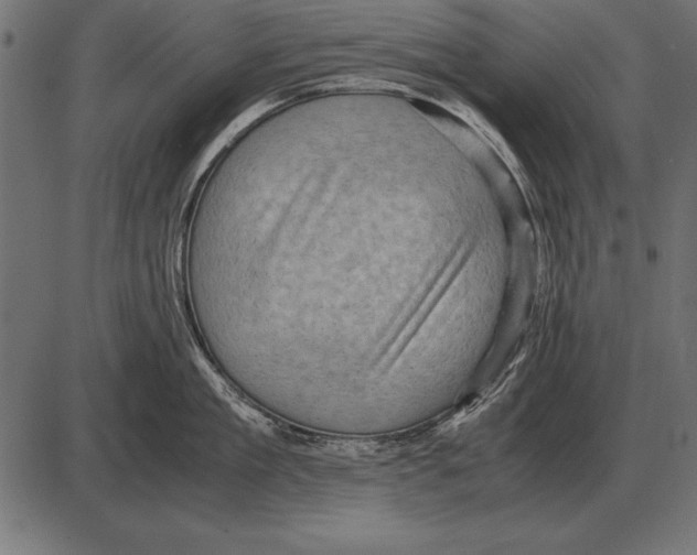 X0000085740909200704091506