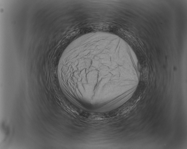 X0000085740913200704091506