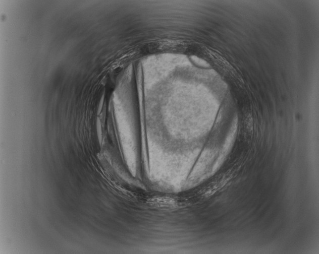 X0000085740914200704091506