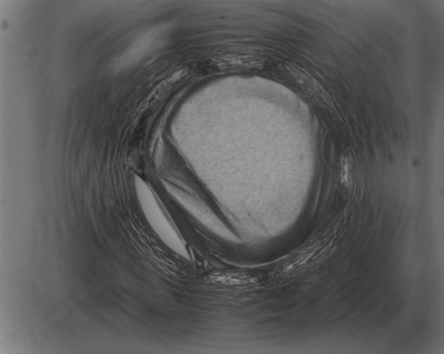 X0000085740915200704091506