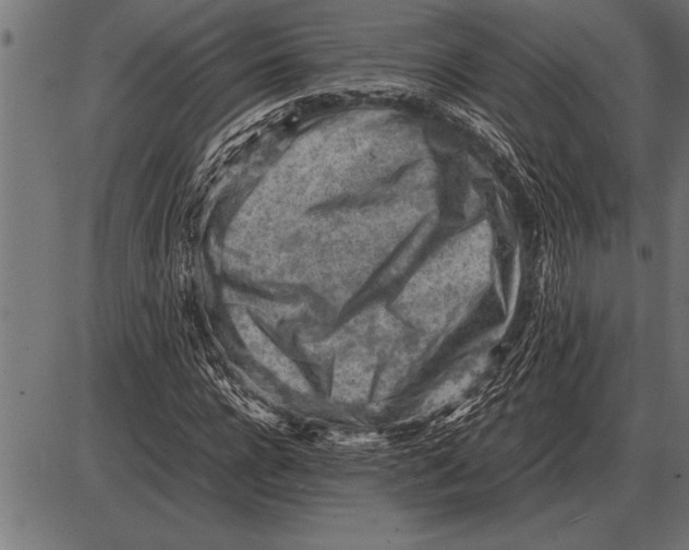 X0000085740920200704091506