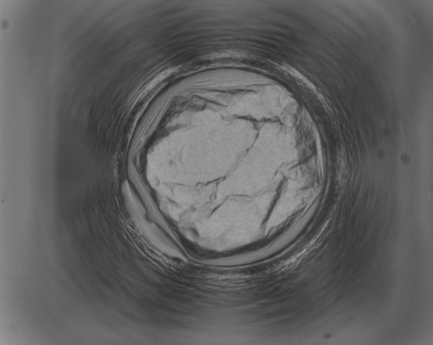 X0000085740921200704091506