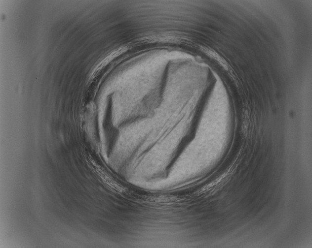X0000085740922200704091506