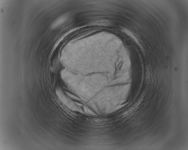 X0000085740923200704091506