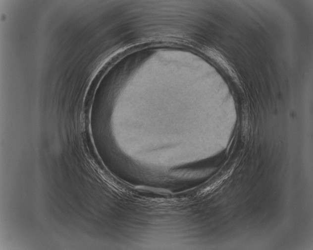 X0000085740924200704091506