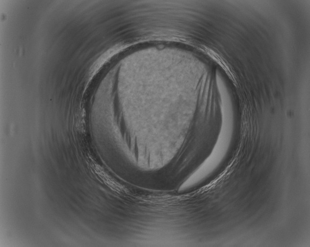 X0000085740926200704091506