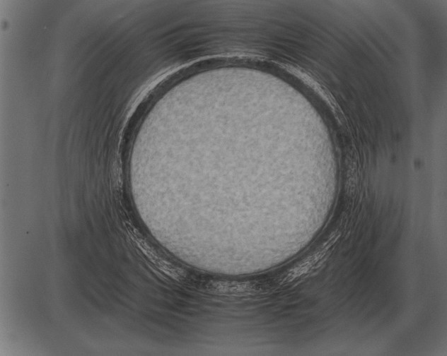 X0000085740927200704091506