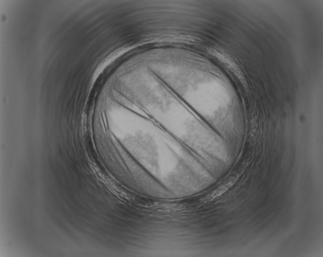 X0000085740928200704091506