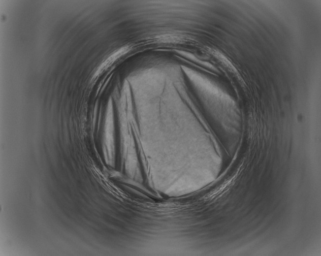 X0000085740930200704091506
