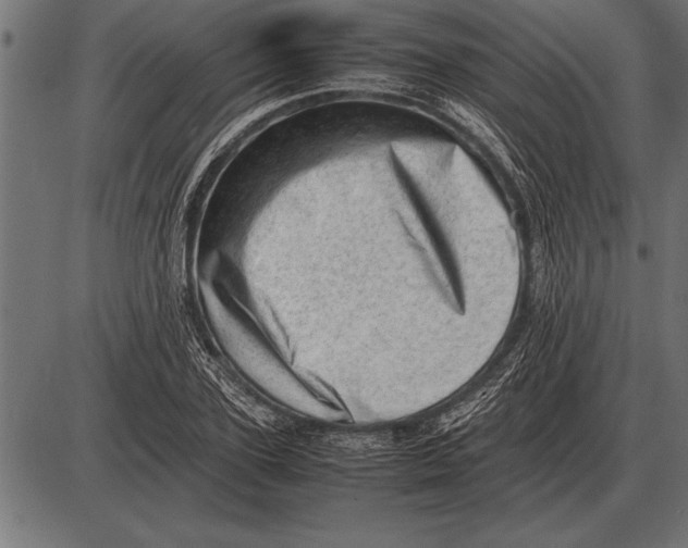 X0000085740931200704091506
