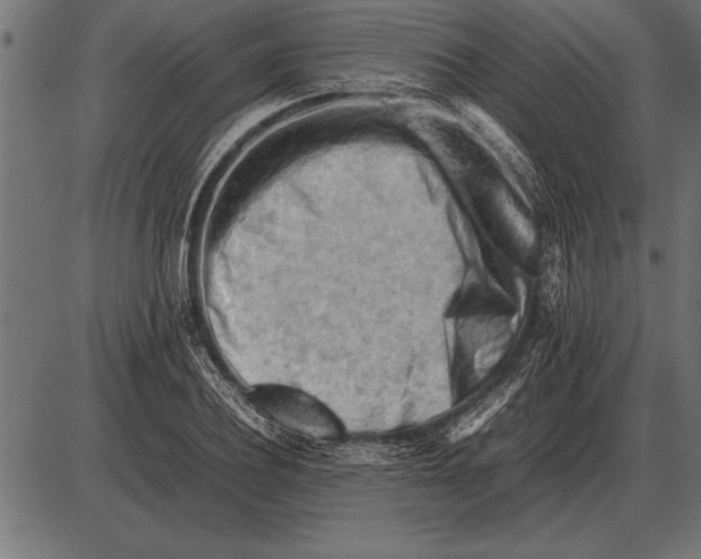 X0000085740932200704091506
