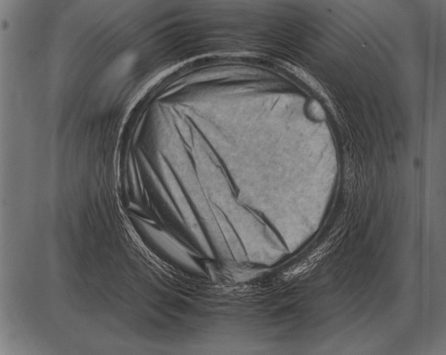 X0000085740935200704091506