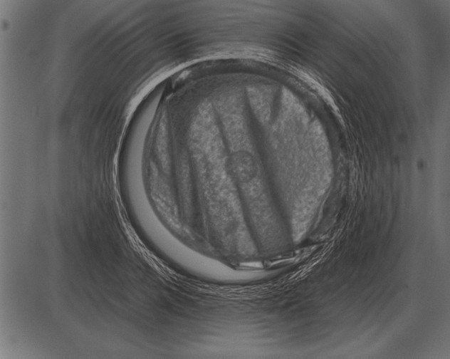 X0000085740936200704091506