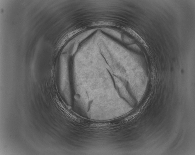 X0000085740937200704091506