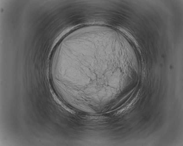 X0000085740941200704091506