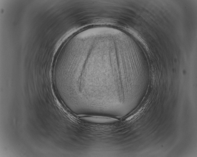 X0000085740943200704091506