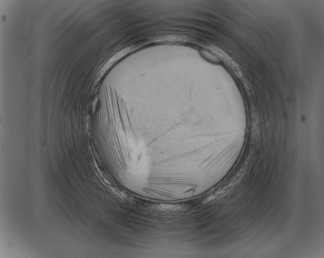 X0000085740945200704091506