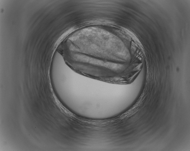 X0000085740946200704091506
