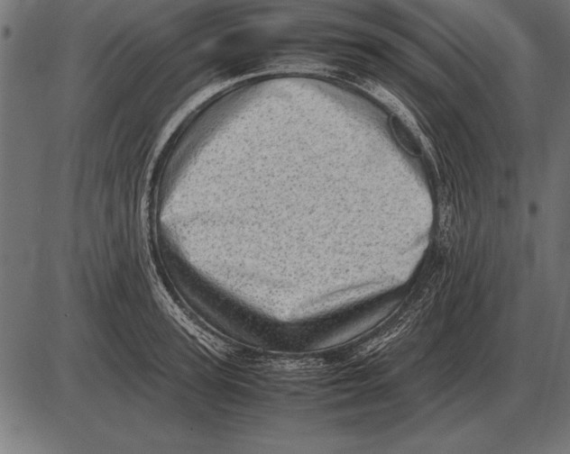 X0000085740947200704091506