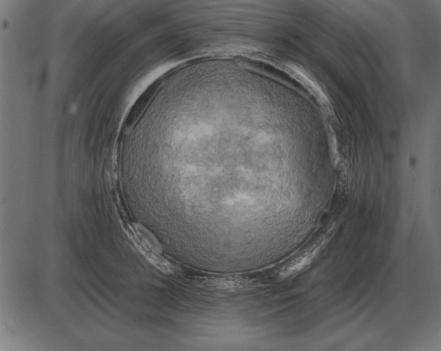 X0000085740948200704091506